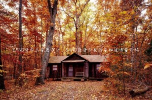 SAND货币总量是多少，SAND货货币发行量和流通量介绍