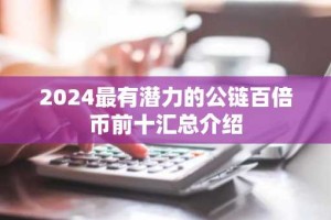 2024最有潜力的公链百倍币前十汇总介绍