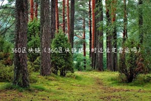 360区块链（360区块链猫那时还恒定营运吗）