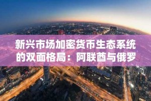 新兴市场加密货币生态系统的双面格局：阿联酋与俄罗斯的对比分析