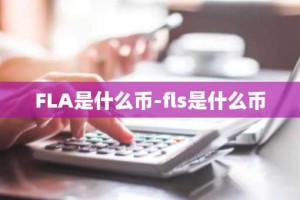 FLA是什么币-fls是什么币