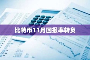 比特币11月回报率转负