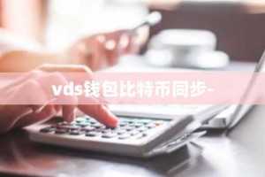 vds钱包比特币同步-