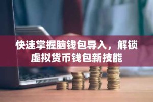 快速掌握脑钱包导入，解锁虚拟货币钱包新技能