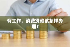 有工作，消费贷款该怎样办理？