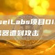 SnsiLabs项目Discord服务器遭到攻击