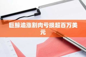 巨鲸追涨割肉亏损超百万美元