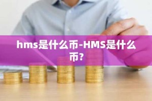 hms是什么币-HMS是什么币?