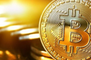 coinlist投资了哪些币