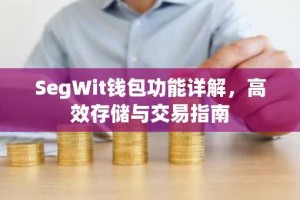 SegWit钱包功能详解，高效存储与交易指南