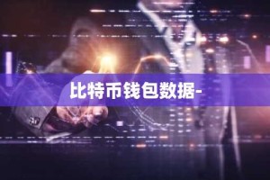 比特币钱包数据-