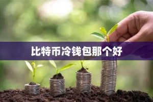比特币冷钱包那个好