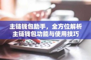 主链钱包助手，全方位解析主链钱包功能与使用技巧
