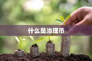 什么是治理币