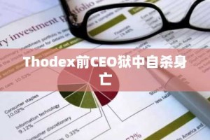 Thodex前CEO狱中自杀身亡