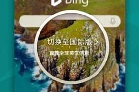 bingo交易所行情看不了：bingbon交易所app