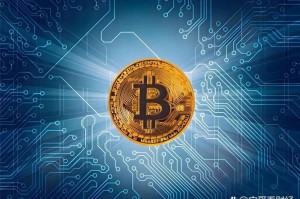 蓝盾BTC深度解析，区块链安全与比特币风险防范策略