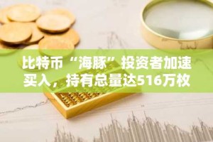 比特币“海豚”投资者加速买入，持有总量达516万枚