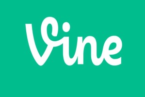 Vinecoin是什么币种 如何购买及上线交易所全解析