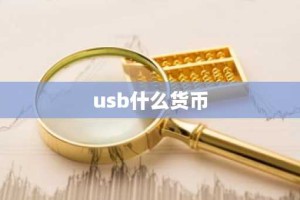 usb什么货币