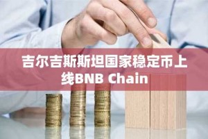 吉尔吉斯斯坦国家稳定币上线BNB Chain