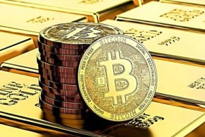 tp钱包如何收录新币