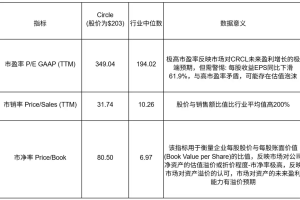 Circle上市后暴涨7倍，其基本面经得起推敲吗？