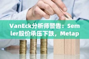 VanEck分析师警告：Semler股价承压下跌，Metaplanet因比特币策略飙升