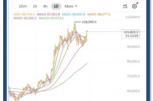 BTC3L币深度解析，新兴加密货币的未来潜力与风险