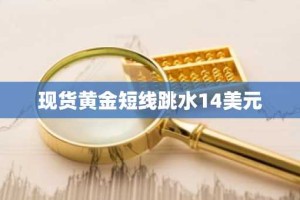现货黄金短线跳水14美元