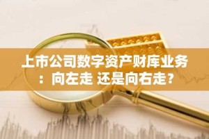 上市公司数字资产财库业务：向左走 还是向右走？