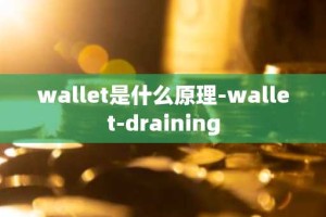 wallet是什么原理-wallet-draining
