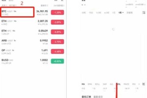 币安JS脚本攻略，功能解析与特色应用