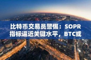 比特币交易员警惕：SOPR指标逼近关键水平，BTC或面临20%回调风险