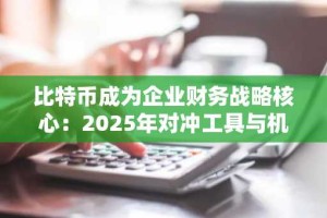 比特币成为企业财务战略核心：2025年对冲工具与机构采用加速