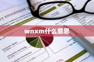 wnxm什么意思