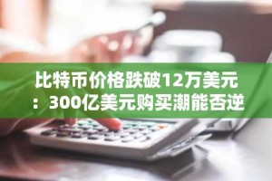 比特币价格跌破12万美元：300亿美元购买潮能否逆转下跌趋势？