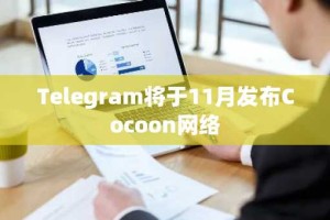 Telegram将于11月发布Cocoon网络