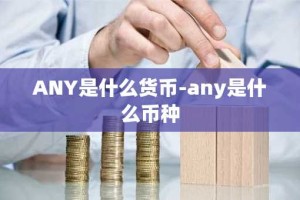 ANY是什么货币-any是什么币种
