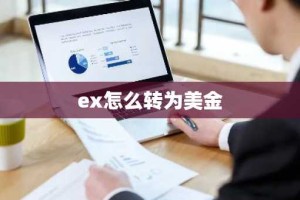 ex怎么转为美金