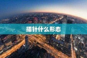 插针什么形态