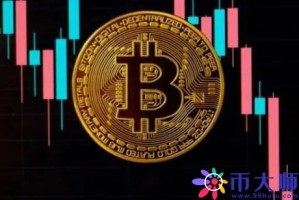 数字货币钱包备份的啥(数字货币钱包备份的啥时候到账)