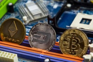 马蹄币实时价格马蹄币今日价格行情马蹄币最新消息