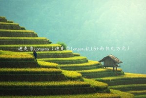 迪克币Longau（迪克币Longau机L5 两台几万元）