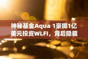 神秘基金Aqua 1豪掷1亿美元投资WLFI，背后隐藏何种战略布局？