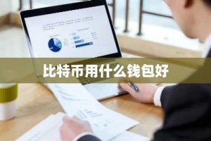 比特币用什么钱包好