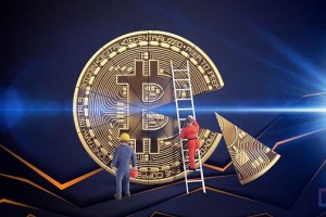 什么钱包支持xch