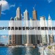 OPT币具体解答和OPT币细致分析