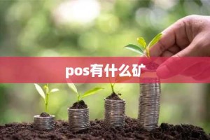 pos有什么矿