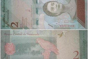 reef币是什么币